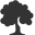 saglamahsapkutu.com