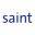 saintnet.com