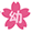 sakuramontessori.edu.vn