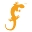 salamanderlive.com