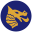 salternssailingclub.co.uk