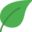 salvialaws.com