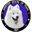 samoyedtexas.org
