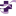 sapdm.com