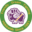 sapporojrfc.net