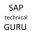 saptechnicalguru.com