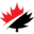savvynewcanadians.com