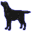 sblabradors.szm.sk