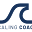 scalingcoach.com