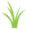 scgfields.com