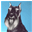 schnauzers.us