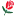 scottsflowers.com
