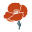 scribelytribe.com
