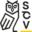 scvgroup.net