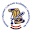 sdlsn.hr