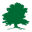 seacoasthardwood.com
