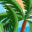 seaganisland.com