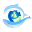 seawatchfoundation.org.uk