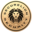 securelionsecurity.com