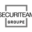 securiteam.fr