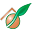seed.ru