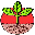 seedrack.com