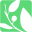 seedsofpeace.org