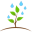 seerab.com