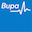 segurosbupa.cl