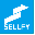 sellfy.biz