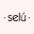 selu.com.ar