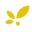 semillamexico.com