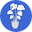 semioffice.com