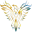 seonative.net