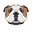 seoprofiler.org