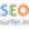 seosurfer.in