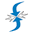 sequelgroup.co.in