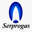 serprogas.cl