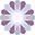 sflow.us