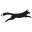 shadowfoxdesign.com