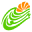 shahsavanseir.com