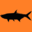 shallowwaterflyfishing.com