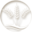 shiva-kriti.com