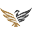 shokouhparvaz.com
