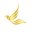 shopdungcutoc.com
