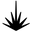 shopyucca.co