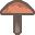 shroomery.org