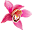 siam-thaimassage.com