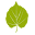 siddharthapublicschools.com
