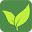 silvergreens.com